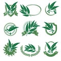 Eucalyptus label and icons set. Collection icon eucalyptus. Vector