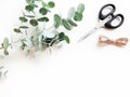 Eucalyptus leaves with black scissor and kraft string on white background Royalty Free Stock Photo
