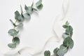 Eucalyptus leaves and ribbon frame on white background. Wreath made of leaf branches. Flat lay, top view with place for