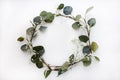 Eucalyptus leaves on white background. Wreath made of eucalyptus branches and gypsophila. Flat lay