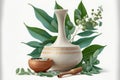 Eucalyptus leaves and white mortar pestle ingredient, people, cosmetic & makeup