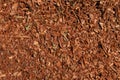 Eucalyptus mulch textured background Royalty Free Stock Photo
