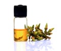 Eucalyptus oil