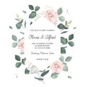 Eucalyptus and pale camellia, peony vector design invitation frame