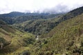 Eucalyptus plantation and tatama natural park Royalty Free Stock Photo