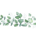 Eucalyptus. Seamless pattern border. Branches of greenery. Botanical watercolor illustration