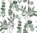 Eucalyptus seeded, silver dollar, baby blue tree leaves seamless pattern