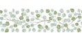 Eucalyptus silver dollar horizontal seamless border vector Royalty Free Stock Photo