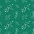 eucalyptus silver dollar leaf seamless pattern background vector illustration. green flat style leaves plants illustration. Royalty Free Stock Photo