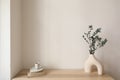 Eucalyptus tree branch in modern organic vase. Cup of coffee, old books on wooden table. Empty beige wall mockup, copy Royalty Free Stock Photo