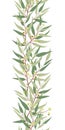 Eucalyptus vertical seamless border vector Royalty Free Stock Photo