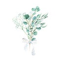 Eucalyptus watercolor bouquet. Willow, silver dollar and gypsophila branches with white lace bow. Hand drawn botanical