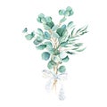 Eucalyptus watercolor bouquet. Willow, silver dollar, true blue branches with white lace bow. Hand drawn botanical