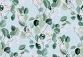 Eucalyptus watercolor leaf seamless pattern, evergreen plant, botanical illustration, dollar silver flower. Blue green wedding