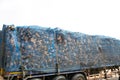 Eucalyptus wood arranged in layers, Pile of wood logs ready for industry.