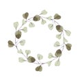 Eucalyptus wreath, botanical illustration. Eucalyptus branches design round frame. Rustic wedding greenery. Green tone. Watercolor