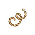 Eucestoda Tapeworm vector concept colored modern icon