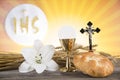 Eucharist symbol of bread and wine, chalice and host, First comm Royalty Free Stock Photo