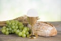 Eucharist symbol of bread and wine, chalice and host, First comm