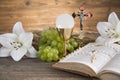 Eucharist symbol of bread and wine, chalice and host, First comm Royalty Free Stock Photo