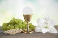 Eucharist symbol of bread and wine, chalice and host, First comm Royalty Free Stock Photo