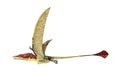 Eudimorphodon flying prehistoric reptile, photorealistic representation. Side view.