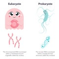 Eukaryotes versus Prokaryotes science vector illustration cartoon infographic