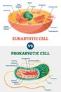 Eukaryotic vs Prokaryotic cells, educational biology vector illustration diagram Royalty Free Stock Photo