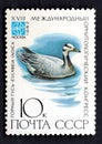 Eulabeia indica. Birds on post stamp isolated on blac Royalty Free Stock Photo