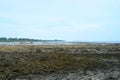 Eulittoral Zone - Intertidal Ecology - Coastal Erosion - Climate Change - Dry Season