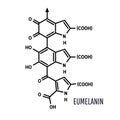 Eumelanin chemical molecule structure on white background