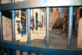 Prison of a police station in bahia