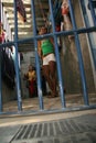 Women in prison in bahia