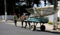 Horse pulls cart with satellite dish