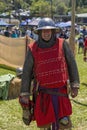 Man Dressed In Replica viking Costume