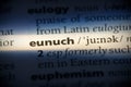 Eunuch Royalty Free Stock Photo