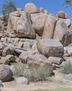 Euphorbia damarana bushes and Dolerite big boulders in desert, near Hobas, Namibia