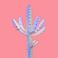 Euphorbia lactea Plant, White Ghost in Blue Tone Color on Pink Background Colorful Design Image