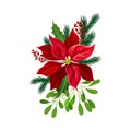 Euphorbia Red Flower Arranged with Fir Tree Twigs and Red Berries Branch Vector Illustration