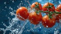 The Euphoric Symphony of Scarlet, A Tumultuous Tango of Tomatoes Engulfed in Liquid Bliss
