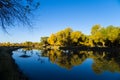 Euphrates Poplar Forests at Ejina Banner