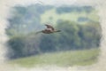 Eurasian Curlew, or common curlew digital water colour painting on the Staffordshire moors