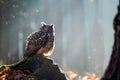 Eurasian Eagle Owl Bubo Bubo sitting on the stump, close-up, w