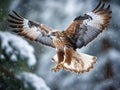 Eurasian jay, Garrulus glandarius flying in falling snow Royalty Free Stock Photo