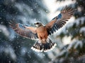 Eurasian jay, Garrulus glandarius flying in falling snow Royalty Free Stock Photo