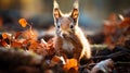 The Eurasian red squirrel (Sciurus vulgaris) in its natural habitat in the autumn forest. ai Royalty Free Stock Photo