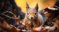 The Eurasian red squirrel (Sciurus vulgaris) in its natural habitat in the autumn forest. ai Royalty Free Stock Photo