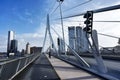 The Eurasmus Bridge in Rotterdam
