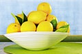 Eureka Lemons in a White China Bowl ~ Grunge Wall