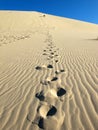 Eureka Sand Dune footprint Royalty Free Stock Photo
